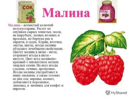 Состав слова малинка