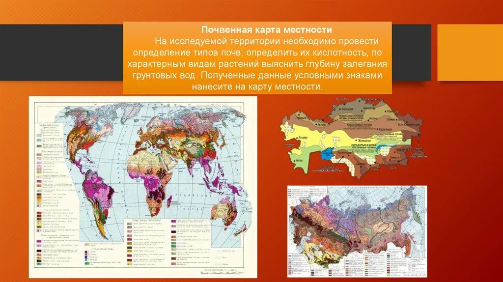 Почвенная карта школьного атласа дает. Почвенная карта. Геоэкологическая карта.