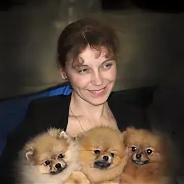 Артемова тула