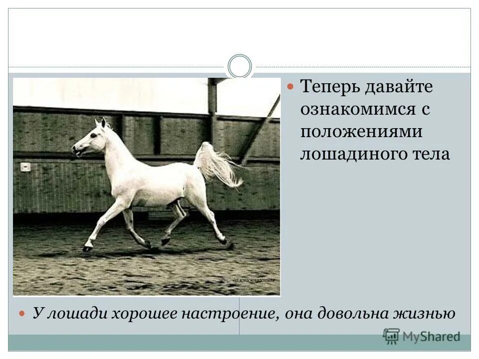 предложение и его характеристика.