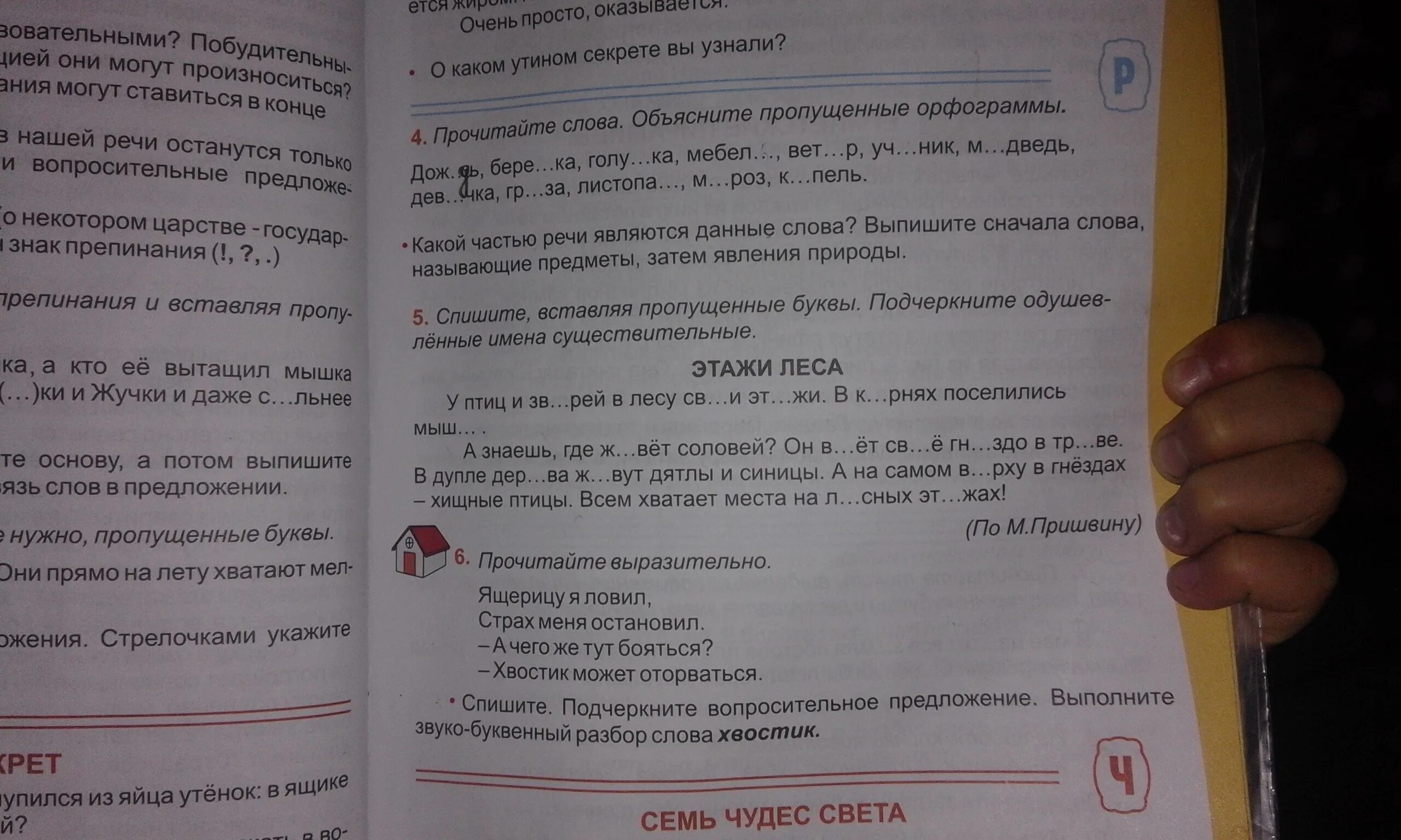 Птица звукобуквенный разбор. Звуко буквенный анализ слова птица. Разобрать слово птица. Звуко-буквенный разбор слова птица. Слово птица звуко буквенный разбор слова.