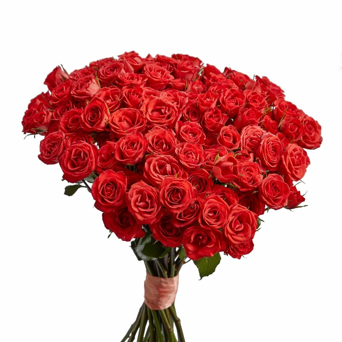 Розы букет зарум. Букет роз. Огромные букеты из роз. Букет красных роз. Шикарный букет из роз.