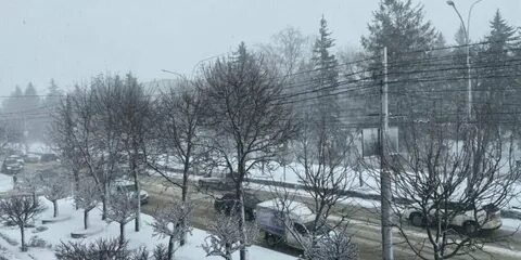 Потепление на ставрополье
