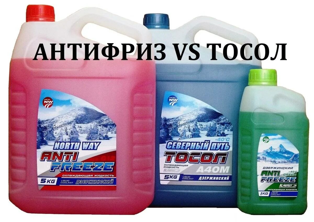 Чем отличается тосол от. Антифриз(охлаждающая жидкость). тосол концентрат. антифриз тосол. антифриз реклама.
