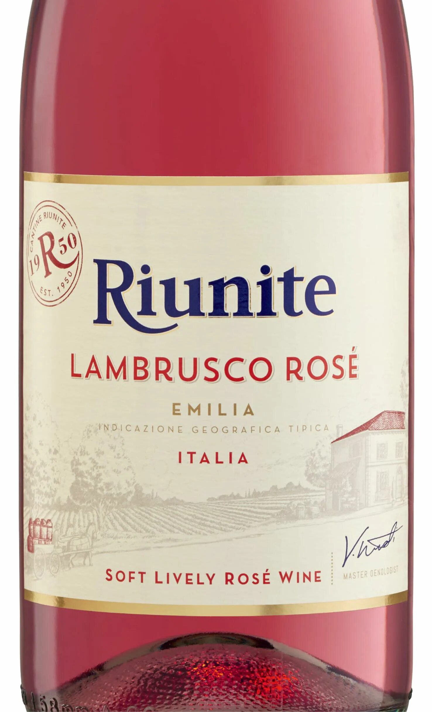 Вино riunite Lambrusco Rose. Ламбруско riunite Emilia. Lambrusco Rose Emilia. Ламбруско розовое цена