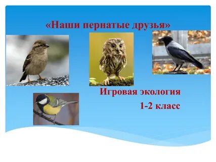Пернатые гости 3 класс