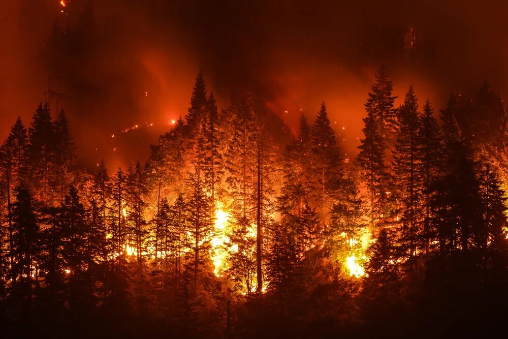 Trevor Bexon on Twitter Dark landscape, Wildland fire, End of the world