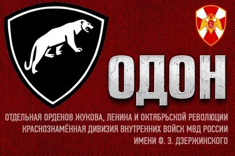 Внутренние войска оперативного назначения