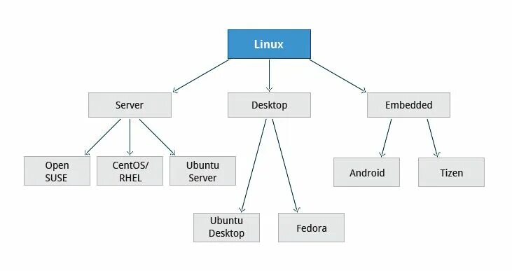 Сетевая система linux. Ос семейства linux. схема дистрибутивов linux. дерево linux систем. дерево версий linux.