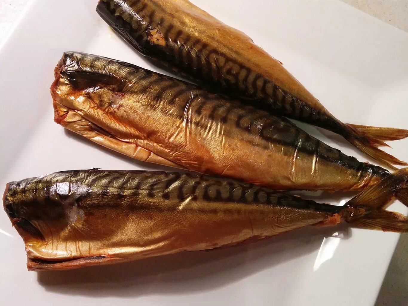 купить копченая рыба скумбрия