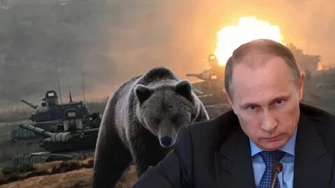 Русский медведь телеграмм (120) фото.