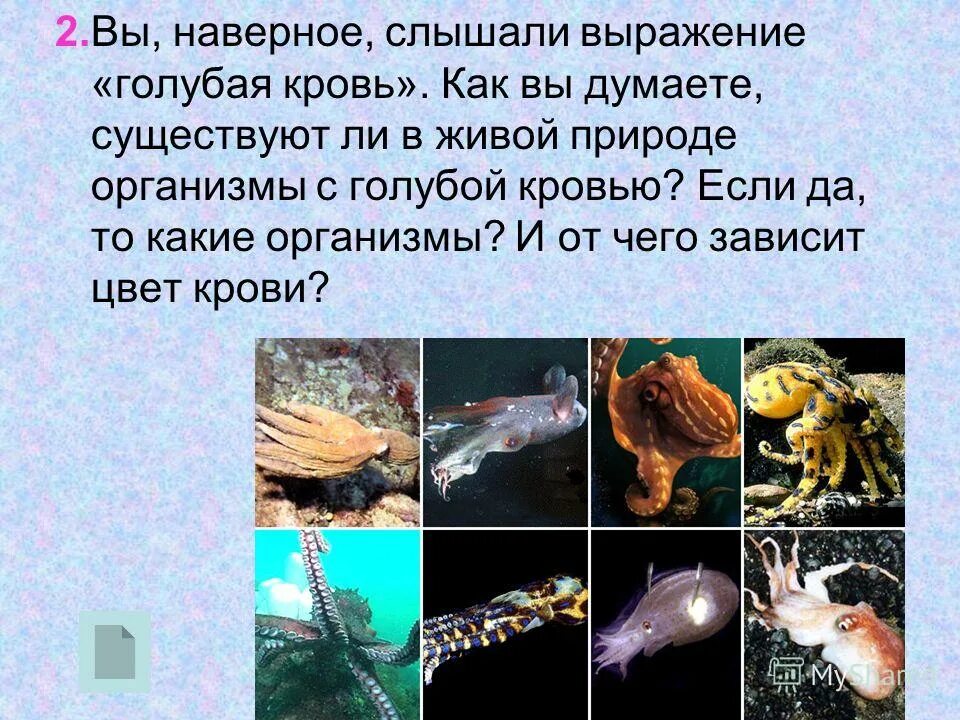 вы наверняка слышали. вы наверняка слышали выражение. зачем люди пьют. тьмы низких истин нам дороже нас возвышающий обман. как вы понимаете выражение зарыть талант в землю.