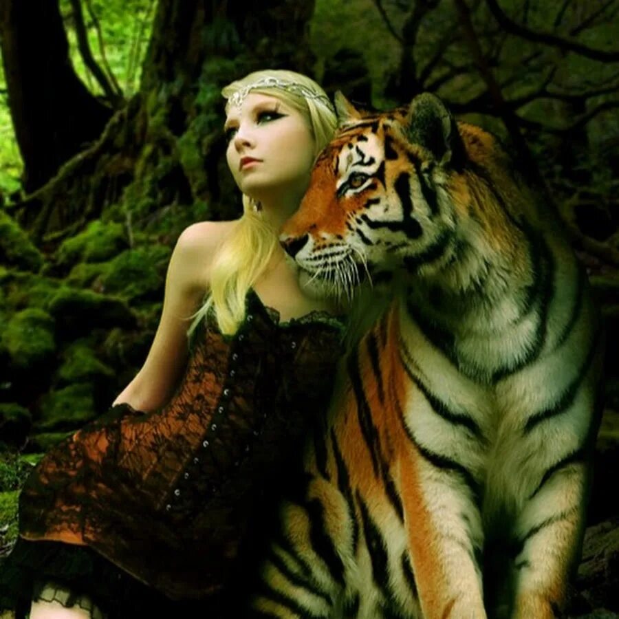 Мужчина змея женщина тигр совместимость. Тигр и змея. Девушка тигрица фото.