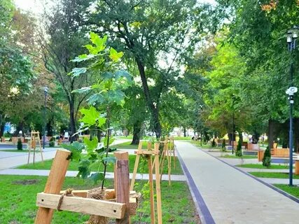 Бульвары симферополя