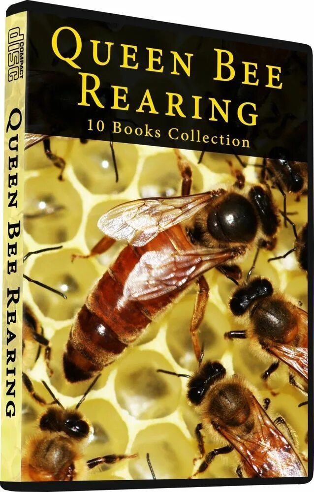 Bee books. Bee книга. the bee book. queen bee book.