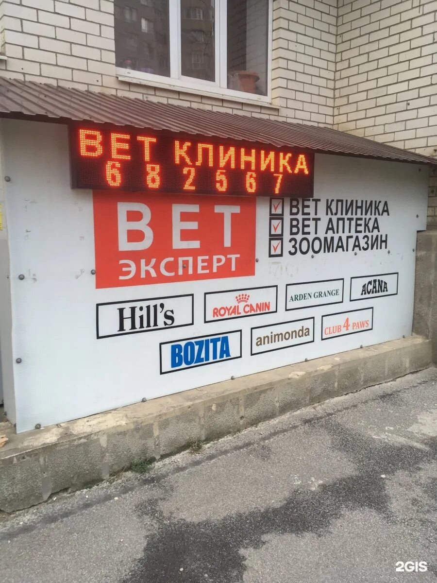 Круглосуточные ветклиники. Ветеринарный врач на дом круглосуточно. Круглосуточные ветклиники ставрополь. Доктор кэт ставрополь. Круглосуточные ветклиники ставрополь.
