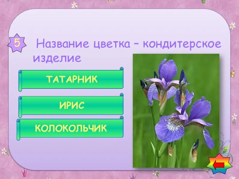 Как называется наука о цветах