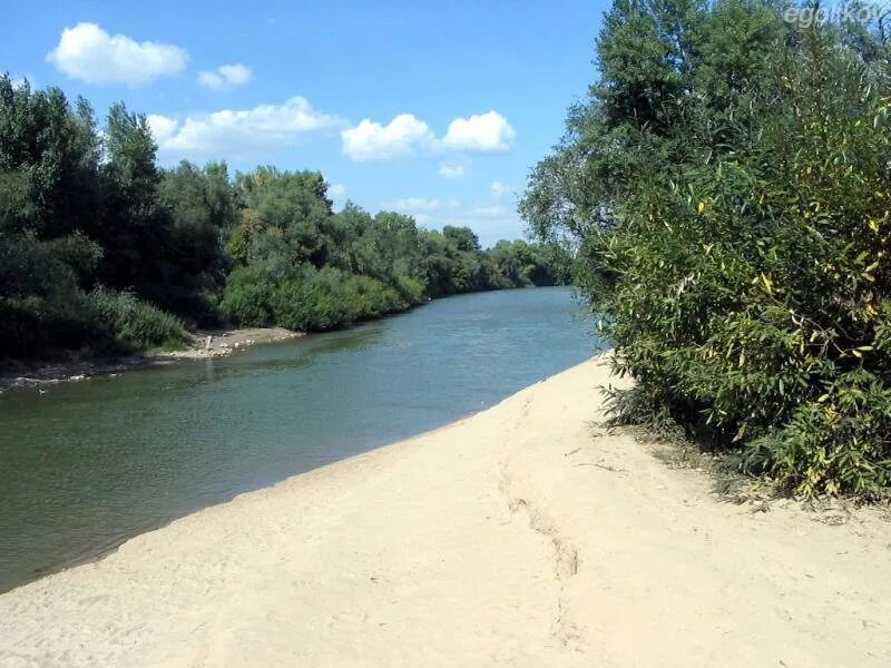 Река алей в рубцовске. Река алей Алтайский край. Река алей Алтайский край город Алейск. Река Золотуха Алтайский край Локтевский.