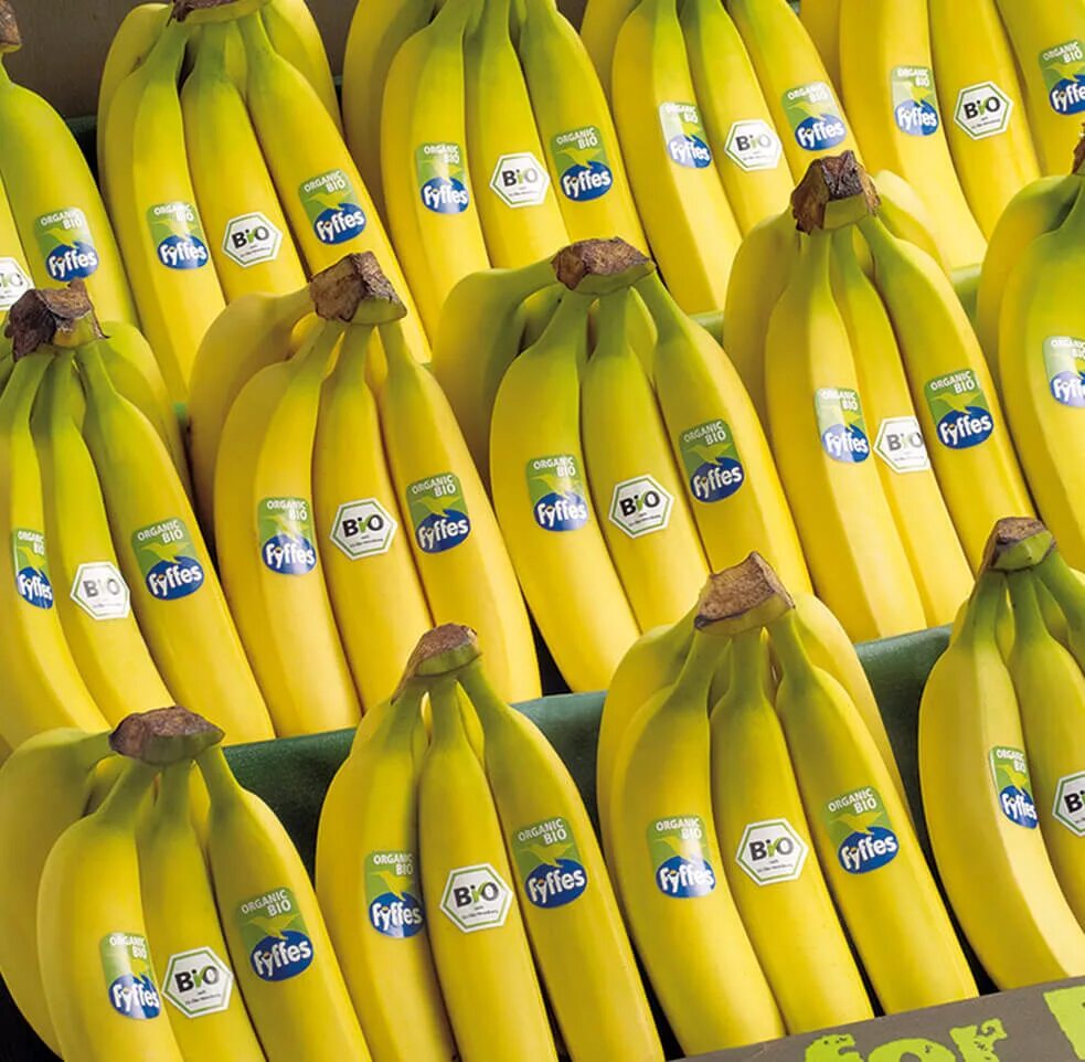 Где можно купит банан. Марки бананов. Бананы на прилавке. Производители бананов. Склад бананов.