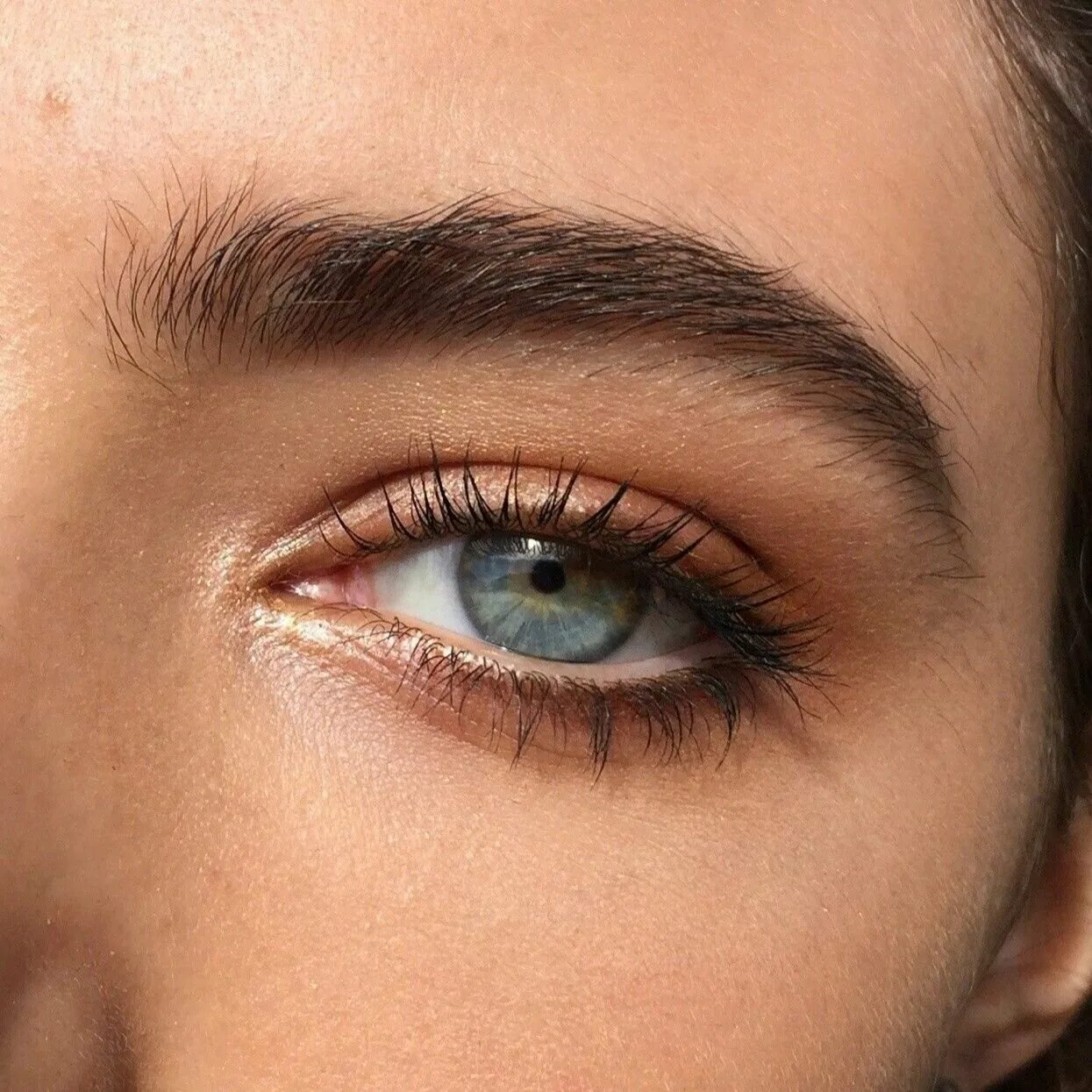 Женские глаза. Красивые глаза. Красивые брови. Глаза девушки. Фотки красивых глаз