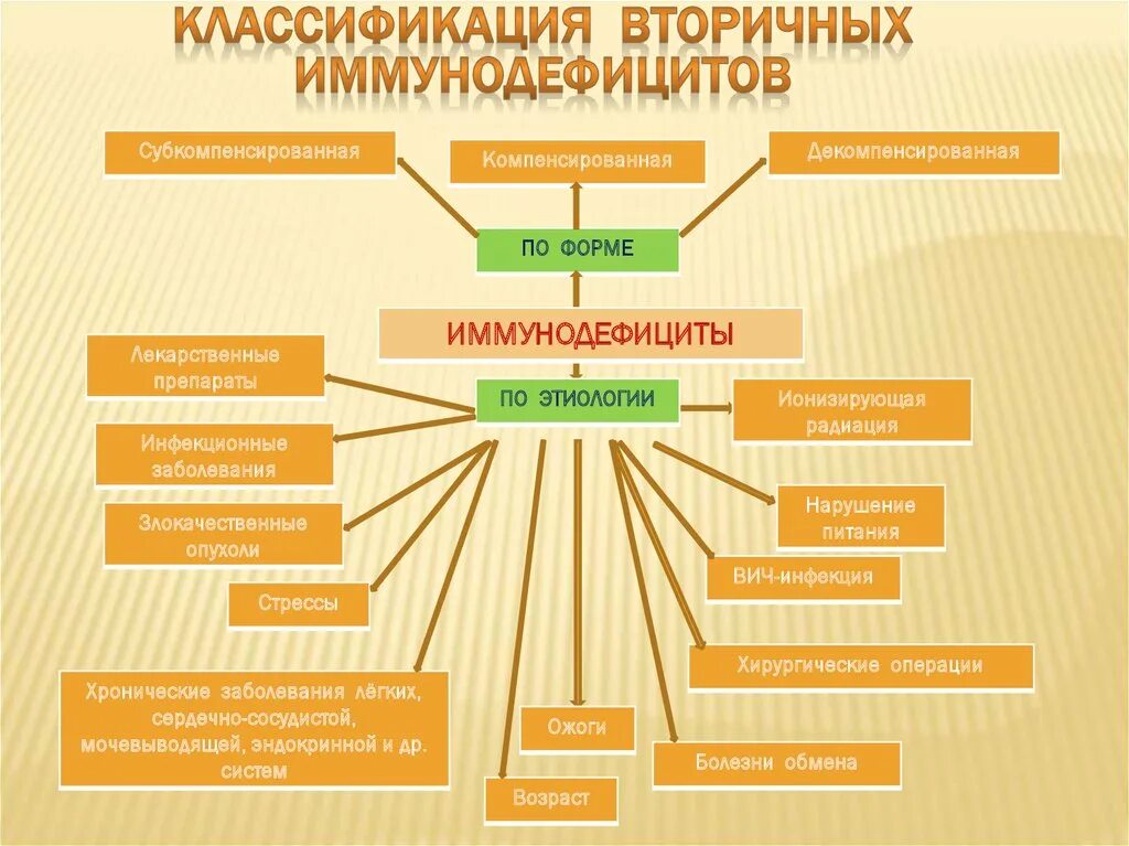 Классификация первичных иммунодефицитов. Патогенез вторичных иммунодефицитов. Вторичная иммунная недостаточность классификация. Патогенетическая классификация приобретенных иммунодефицитов. Вторичные иммунодефициты классификация.