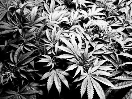 Only grow