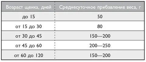 Сколько в день должен щенок писать