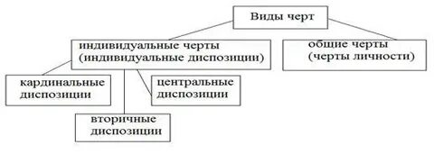 Виды индивидуальных черт