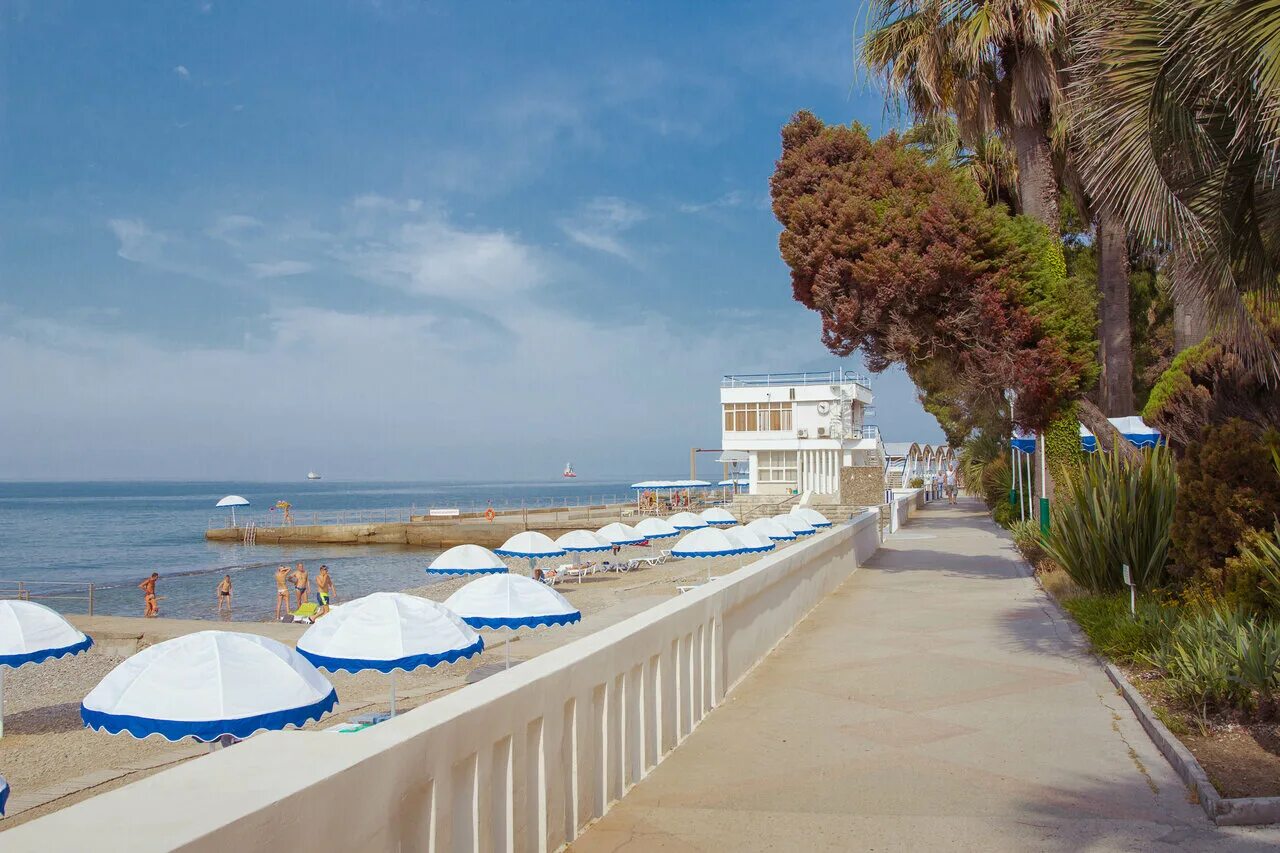 территория санатория фрунзе сочи. сочи м. санаторий им. санаторий им. санаторий им.