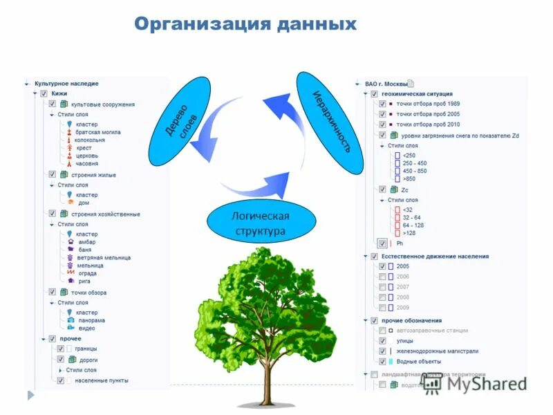 Организация данных. Организация данных в виде дерева. Организация данных сообщение. Какие организации данных есть.