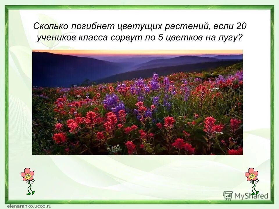Диктант для первого класса на жи ши. Алыми цветами расцвел жи ши. Слова с жи ши. На стебельке как бусы в ряд цветы душистые. Чтение слов с жи ши.