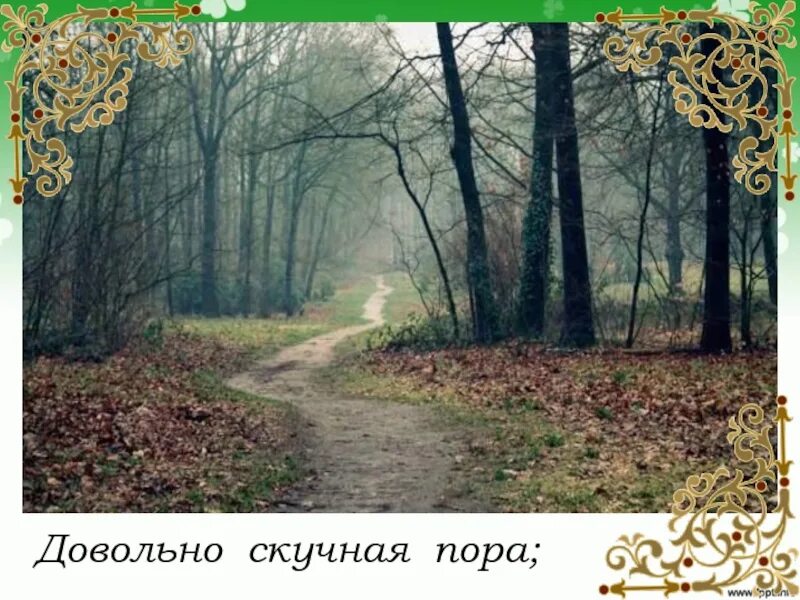 Скучная осень. Довольно скучная пора. довольно скучная пора стоял ноябрь уж у двора. приближалась довольно скучная пора.