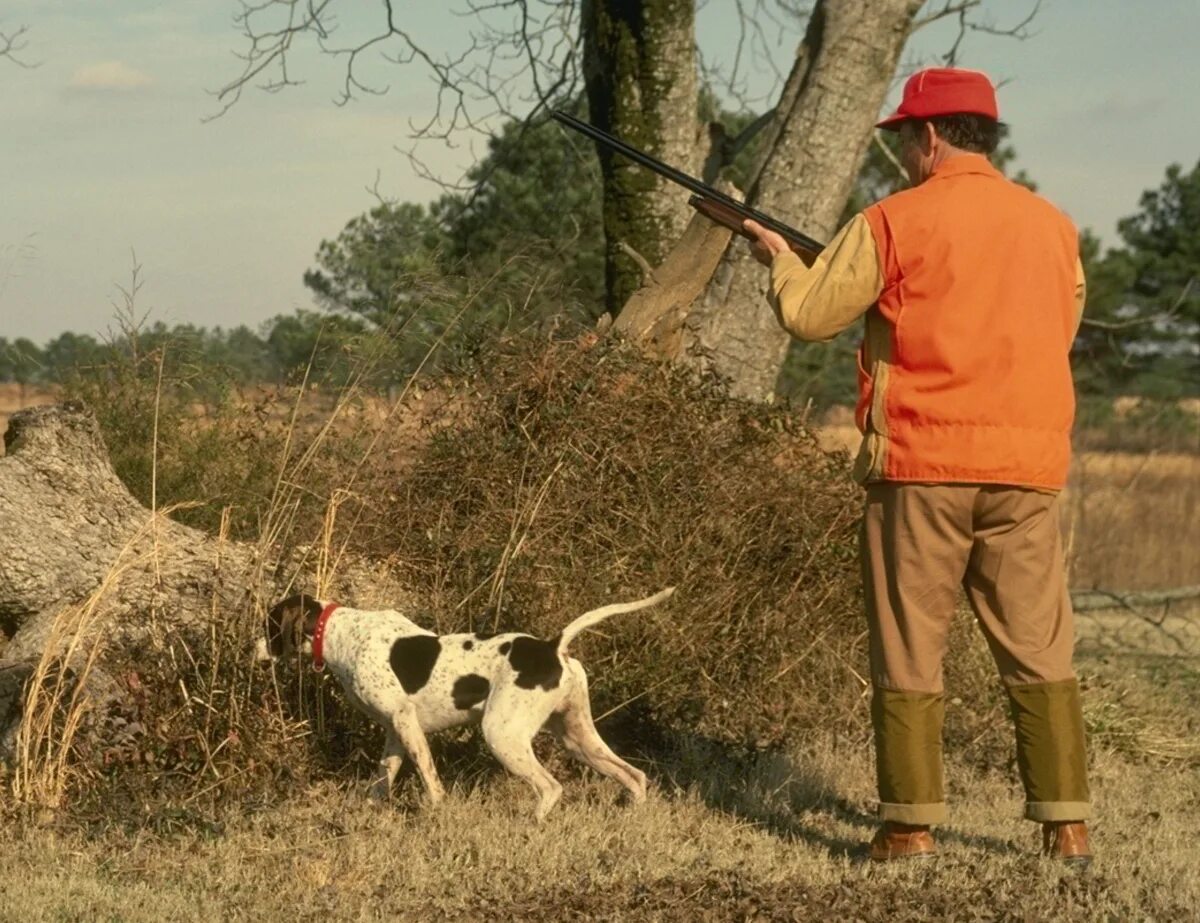 Out of range pointer