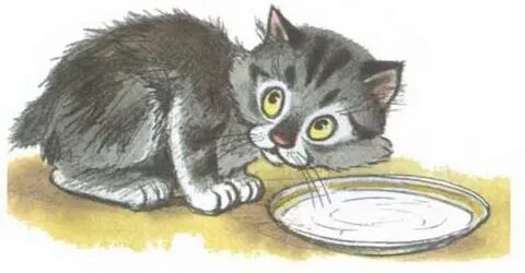 Котята выросли немножко а есть из блюдца