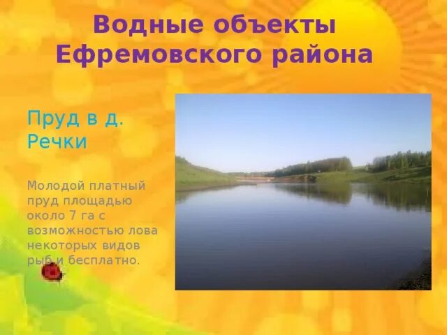 Водные богатства рязанского края. Заповедник смидовича мордовия. Водные богатства рязанского края. Водные богатства нашего края. Водные объекты рязанского края.
