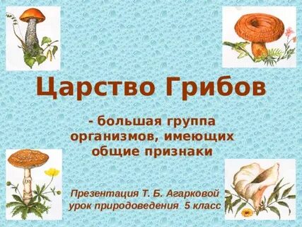 Царство грибы презентация 3 класс окружающий