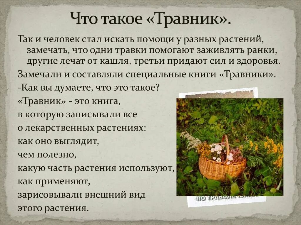 Что такое травник. Травник. что такая травник. что записать в травник. что пдно зарисать в травеик.