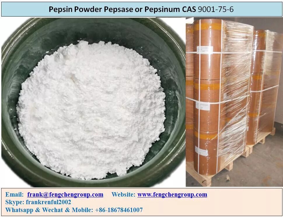 фермент пепсин расщепляет. закваска пепсин. пепсин пищевой. пепсин упаковка. пепсин шако.