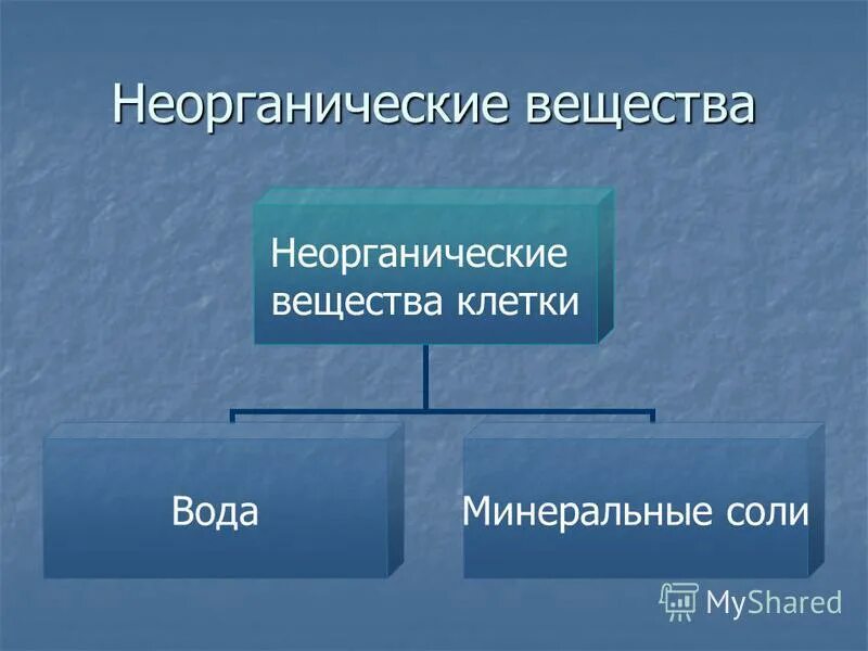 Кроме воды к неорганическим веществам относятся. Неорганические вещества. Неорганические вещества клетки вода и Минеральные соли. Неорганические вещества клетки соли. Неорганические вещества клетки Минеральные соли.