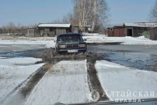 Село Осколково Алтайский край. Осколково Алейский район. Село Осколково Алейский район Алтайский край. Барнаул Чистюнька. Погода чистюнька алтайского края