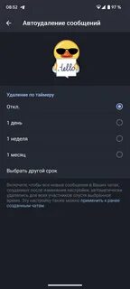Телеграмм автоудаление сообщений