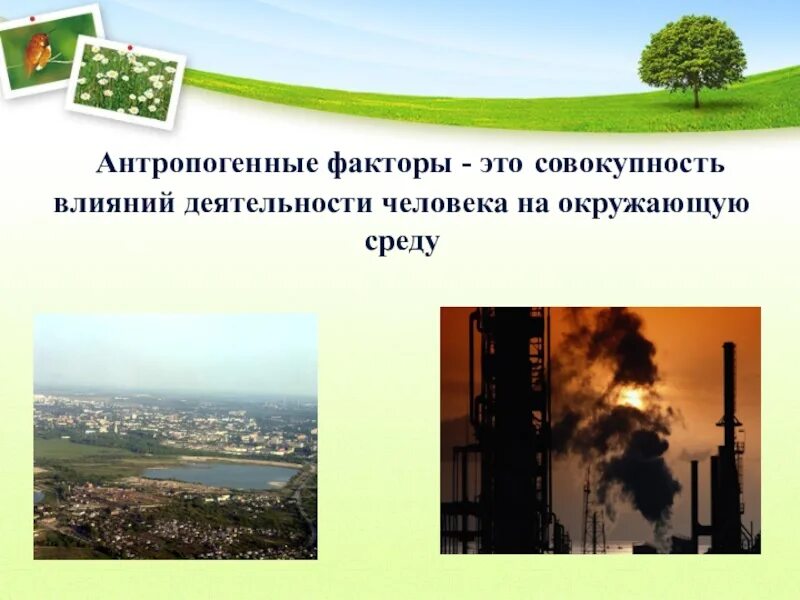 Примеры антропогенного фактора в природе. Антропогенные факторы среды. Антропогенные экологические факторы. Антропогенные факторы окружающей среды. Антропогенные факторы влияющие на окружающую среду.