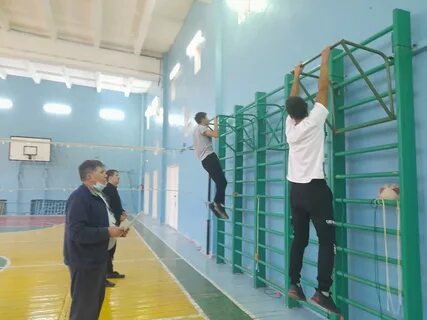 Пугачевский аграрный техникум