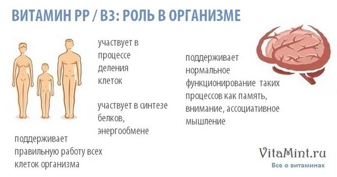 Роль в организме в 3