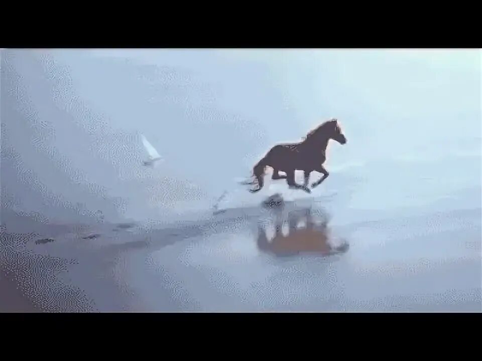 Гифы лошади. Лошадь бежит гиф. Лошадь скачет по воде. Лошадь убегает.