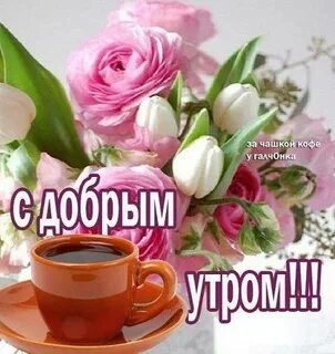 Доброе утро тетя