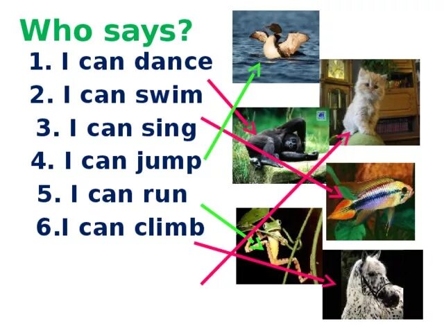 I can jump out in the sun. I can swim. i can jump i can run i can dance. who can sing животные. 1 i can run. 2 i can jump. horse 3 can swim. 4 i can dance. monaly.