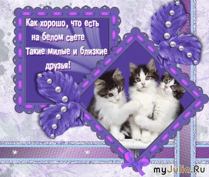 Рад быть тебе другом