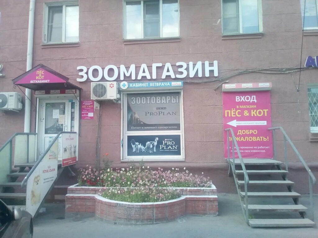 пёс и кот ветеринарная клиника. портал для кошек. кот и пес режим работы. домашние питомцы на прозрачном фоне. кот и пес режим работы.