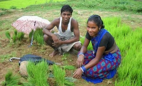 Land rights